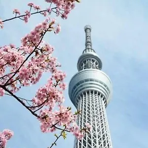 日本橋室町bay 2* 東京都